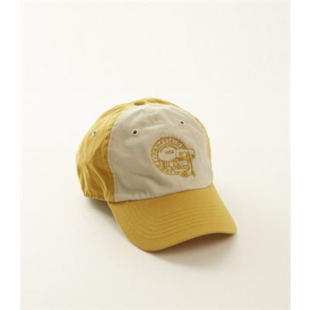 Casquette Vintage Panavision US